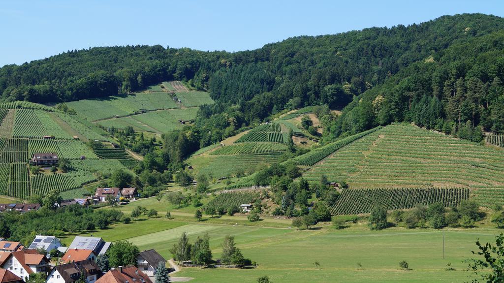 Hotel Schwarzenbergs Traube Glottertal Dış mekan fotoğraf
