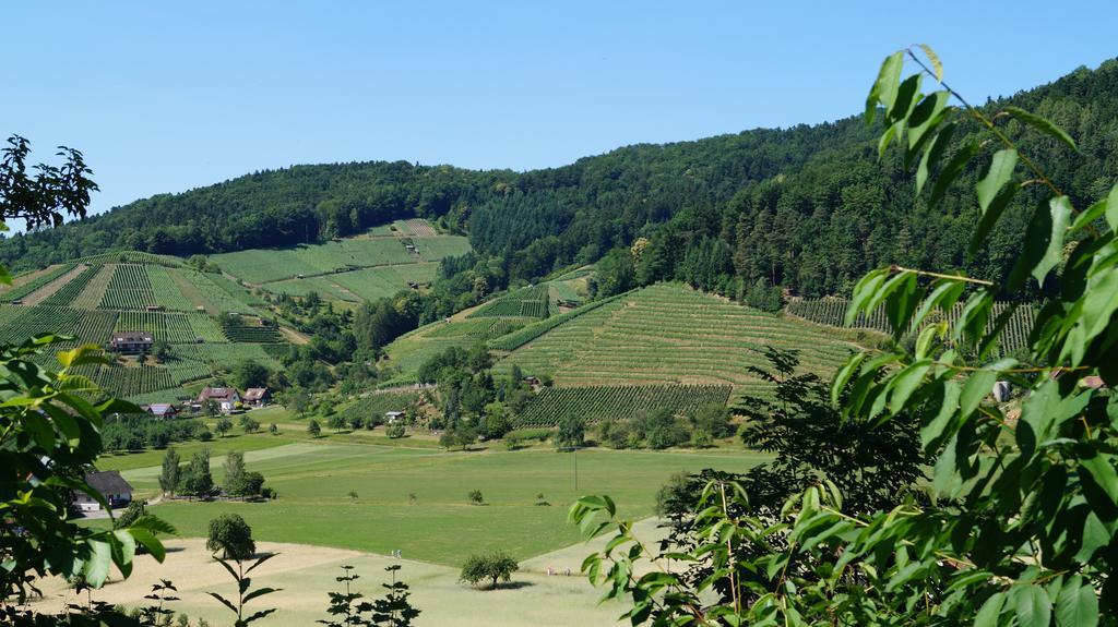 Hotel Schwarzenbergs Traube Glottertal Dış mekan fotoğraf