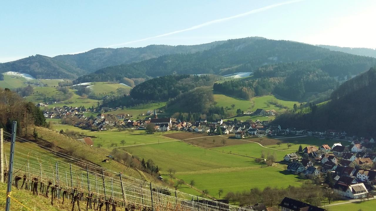 Hotel Schwarzenbergs Traube Glottertal Dış mekan fotoğraf